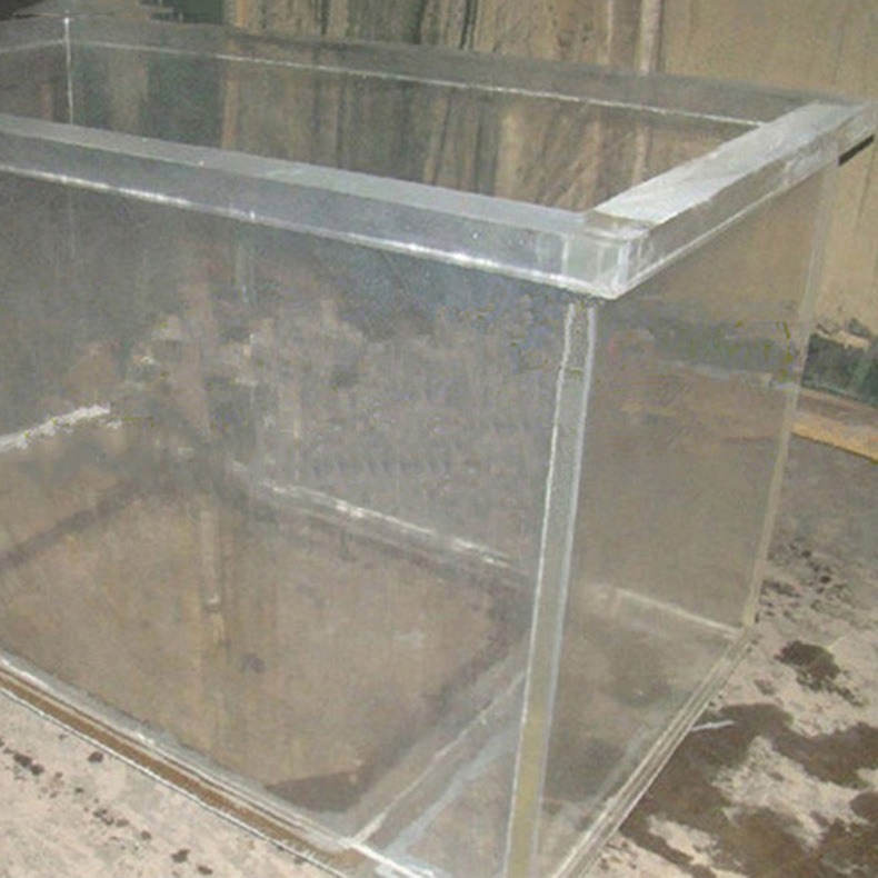 Customized large acrylic fish